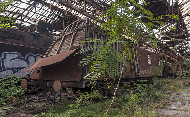 abandoned train graveyard