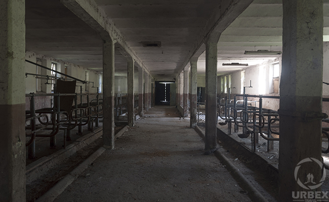 urbex in an abandoned cowshed