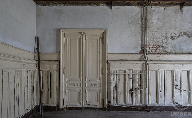 Silent Beauty: Urbex Mansion Opportunity