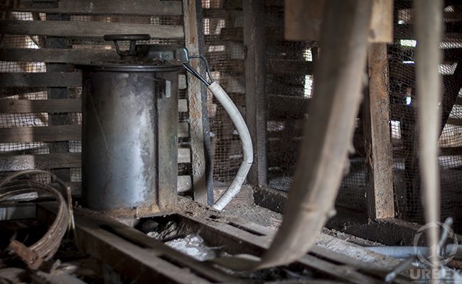 Abandoned Water Mill Gear
